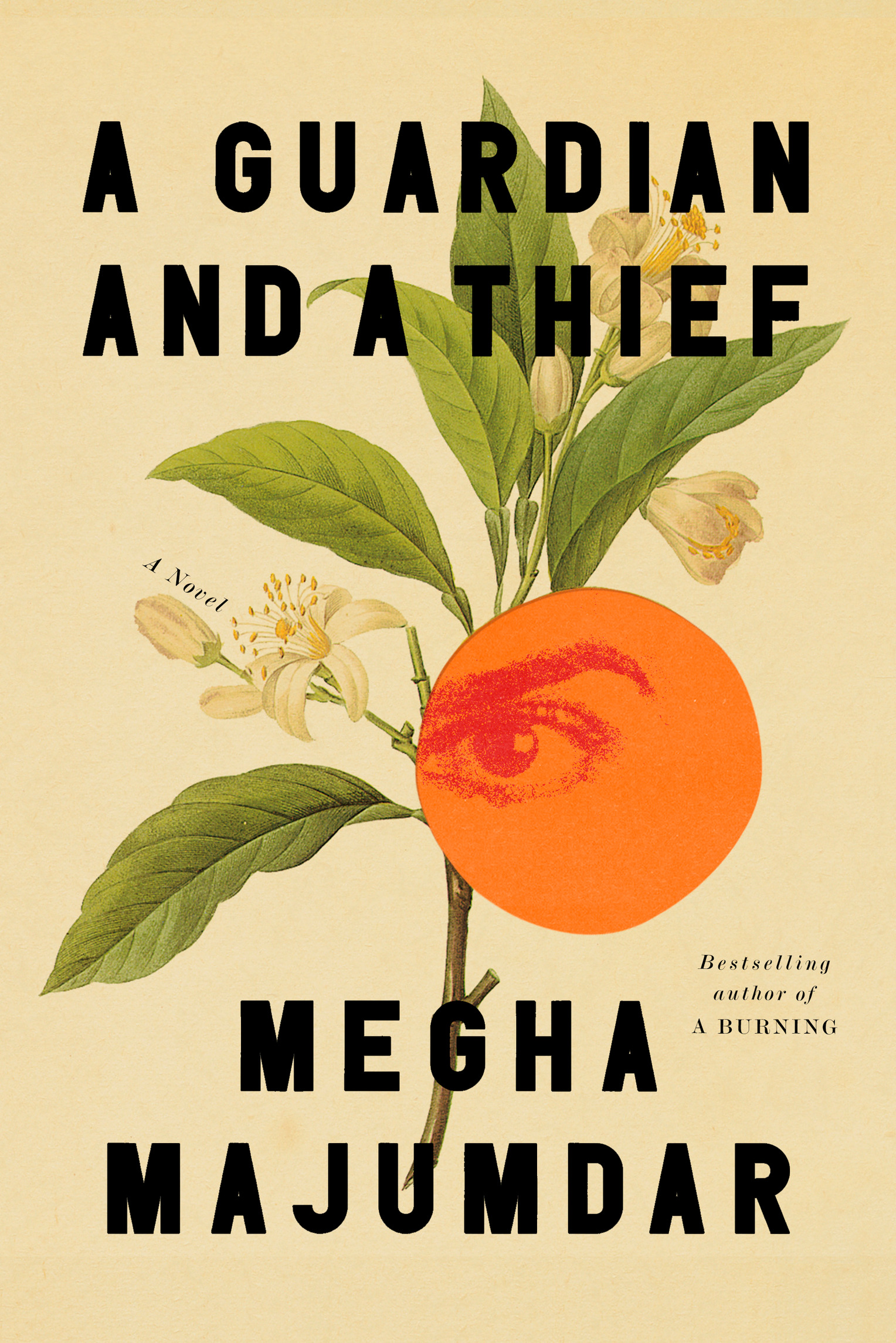 A Guardian and a Thief ebook cover