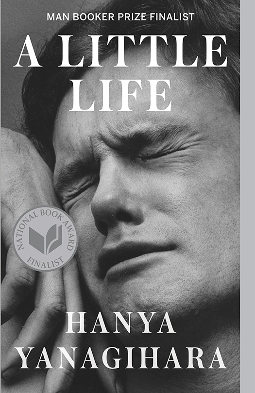 A Little Life ebook cover