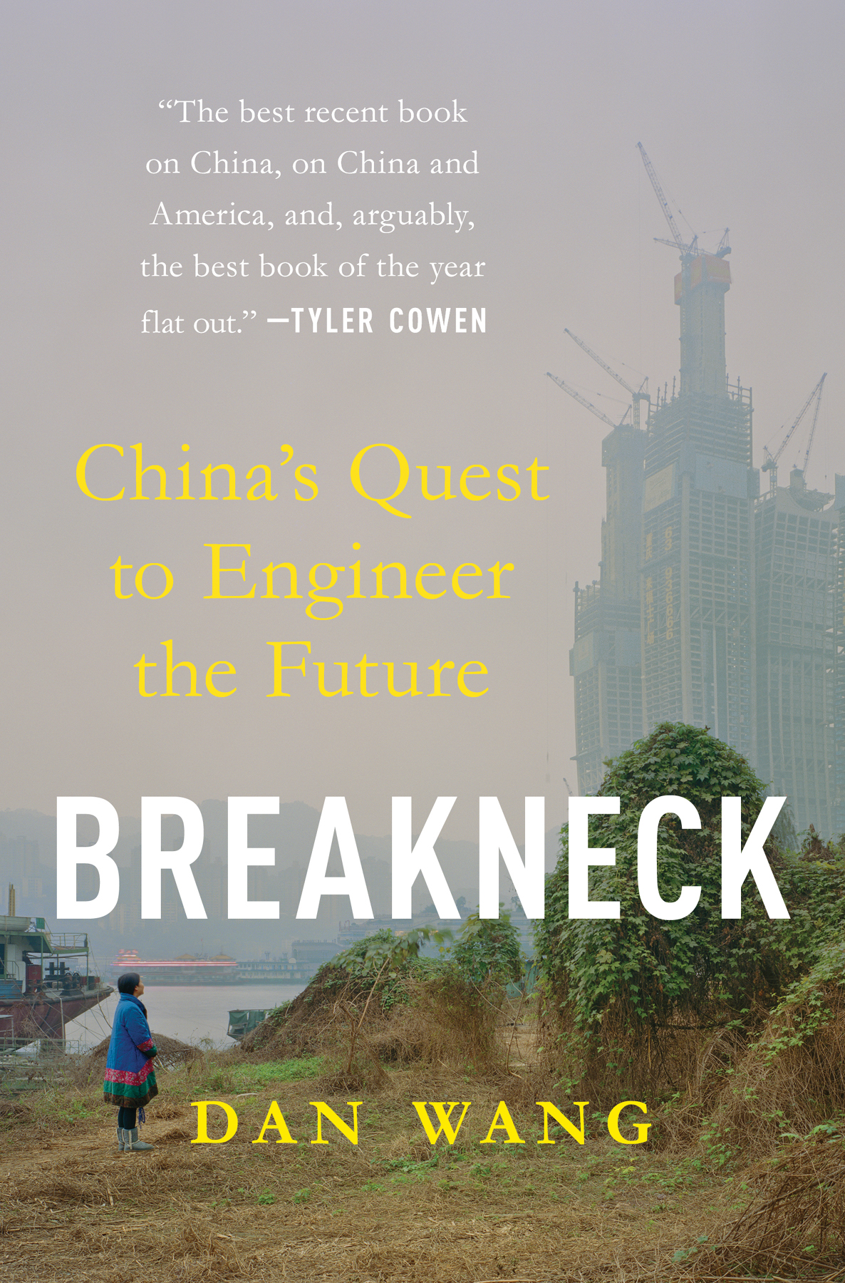 Breakneck: China's Quest to Engineer the Future ebook cover