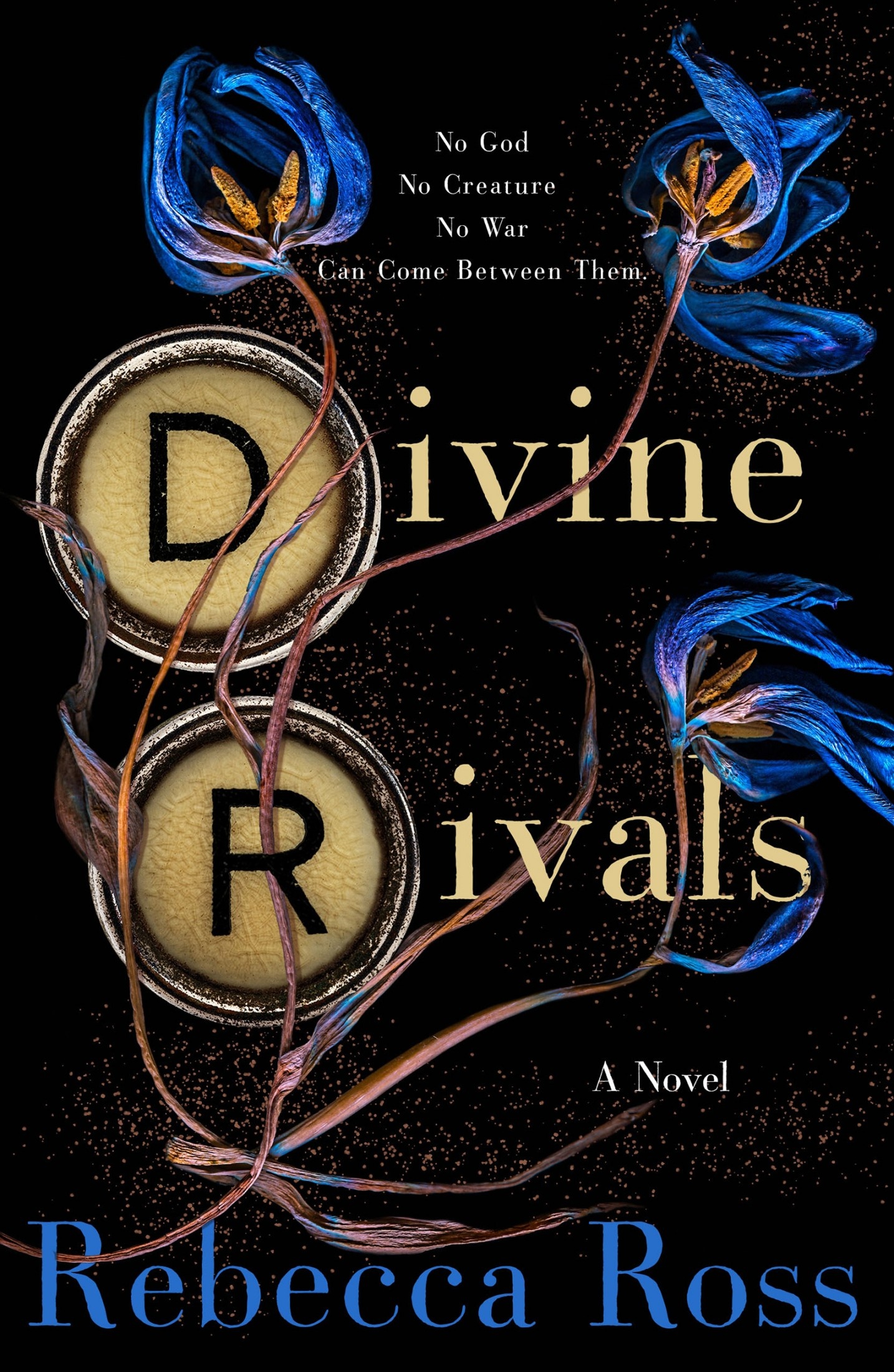 Divine Rivals ebook cover