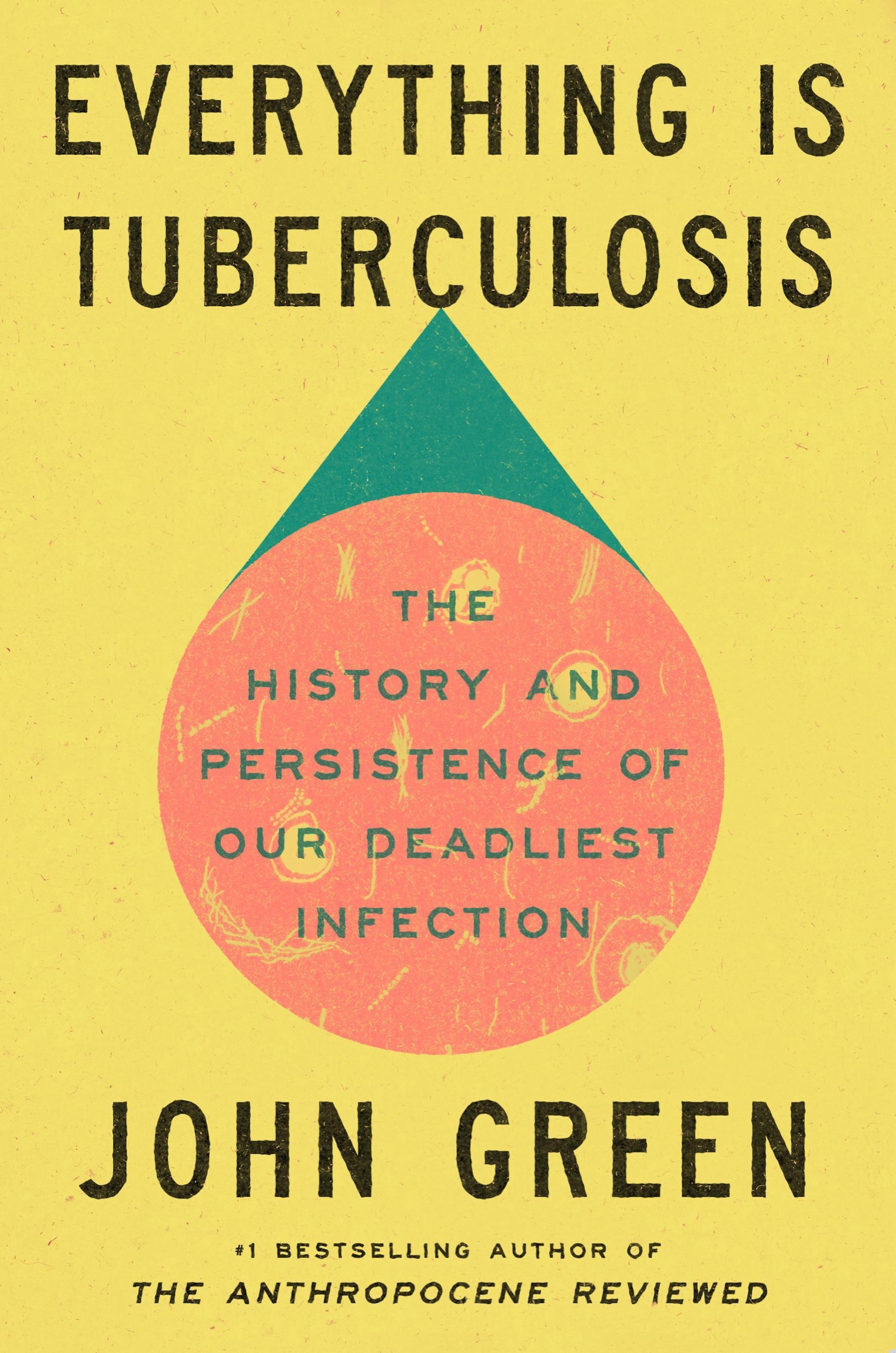 Everything Is Tuberculosis: The History and Persistence of Our Deadliest Infection ebook cover