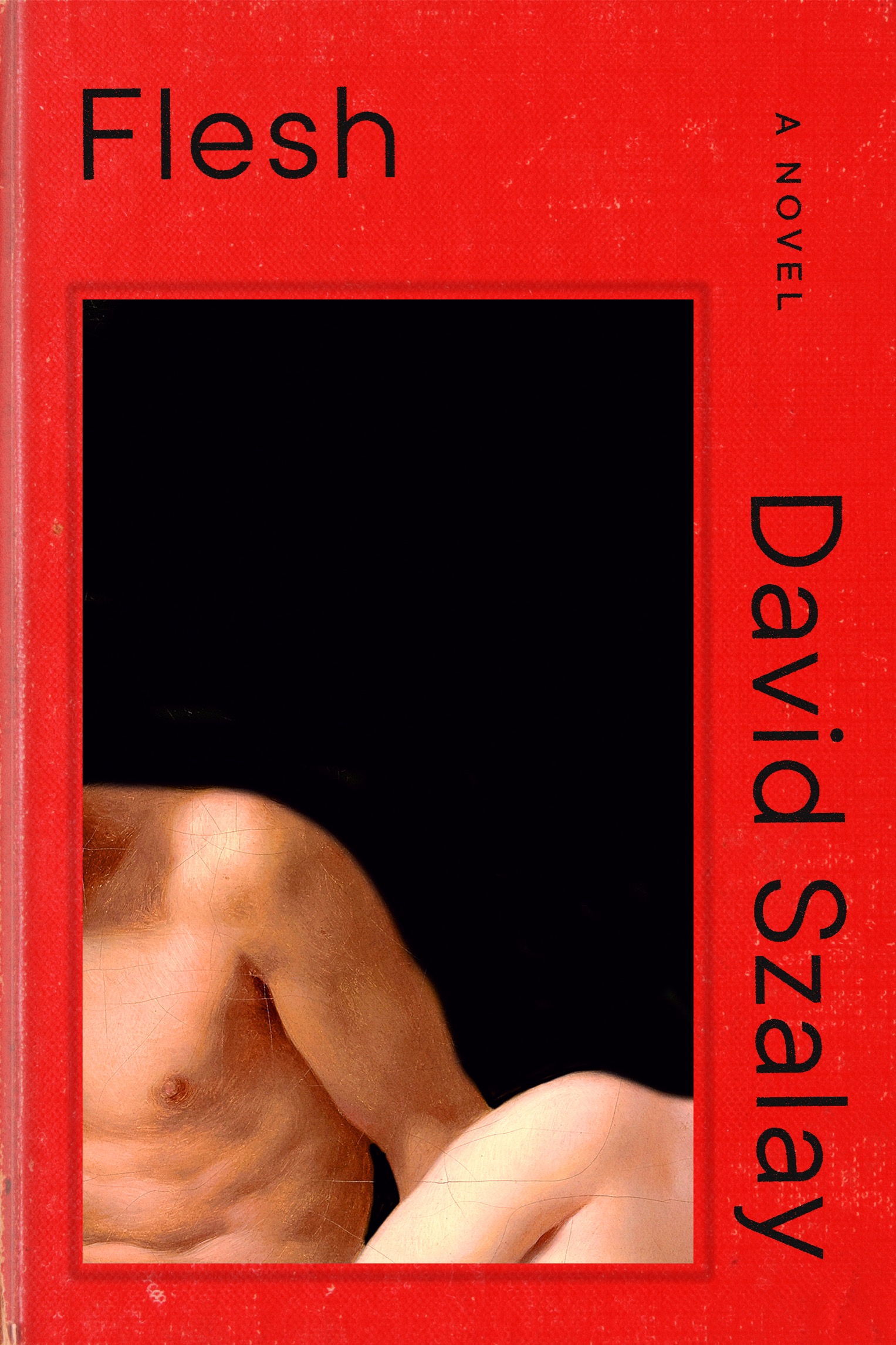Flesh ebook cover