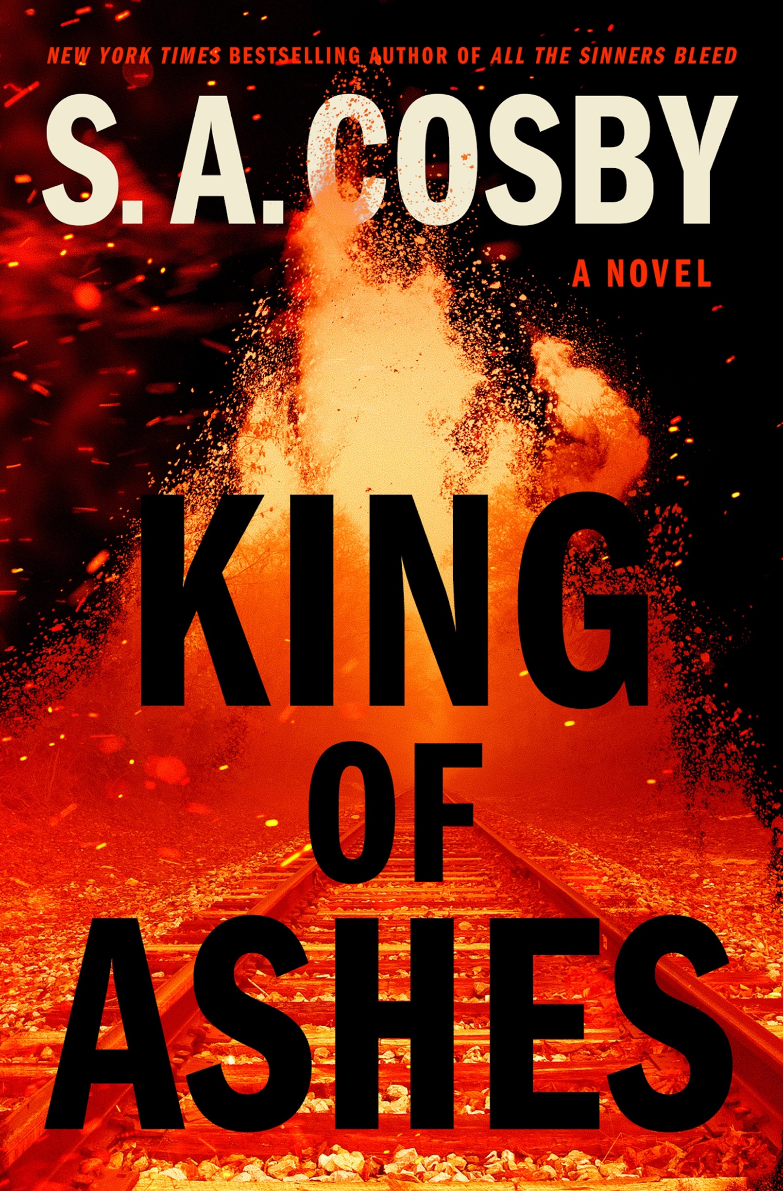 King of Ashes ebook cover