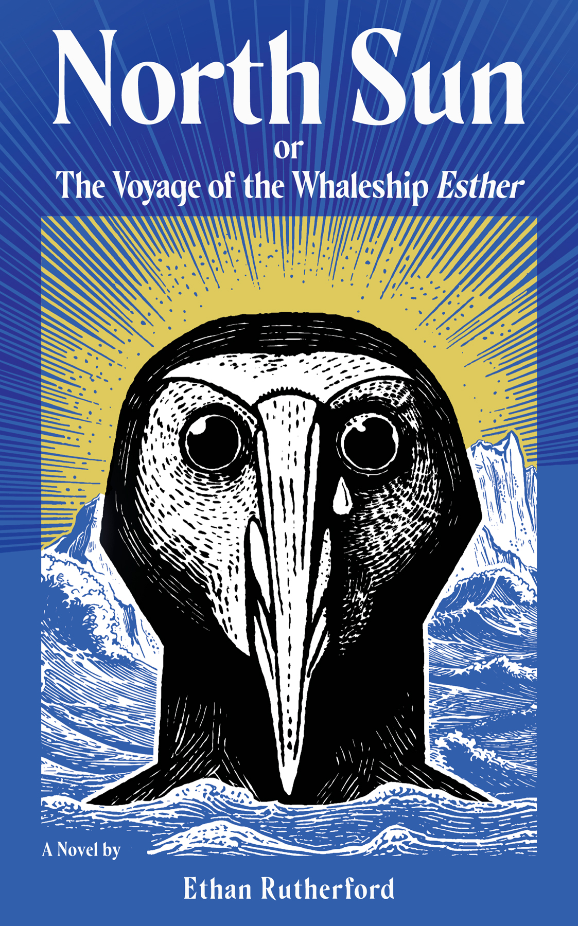North Sun: Or, the Voyage of the Whaleship Esther ebook cover