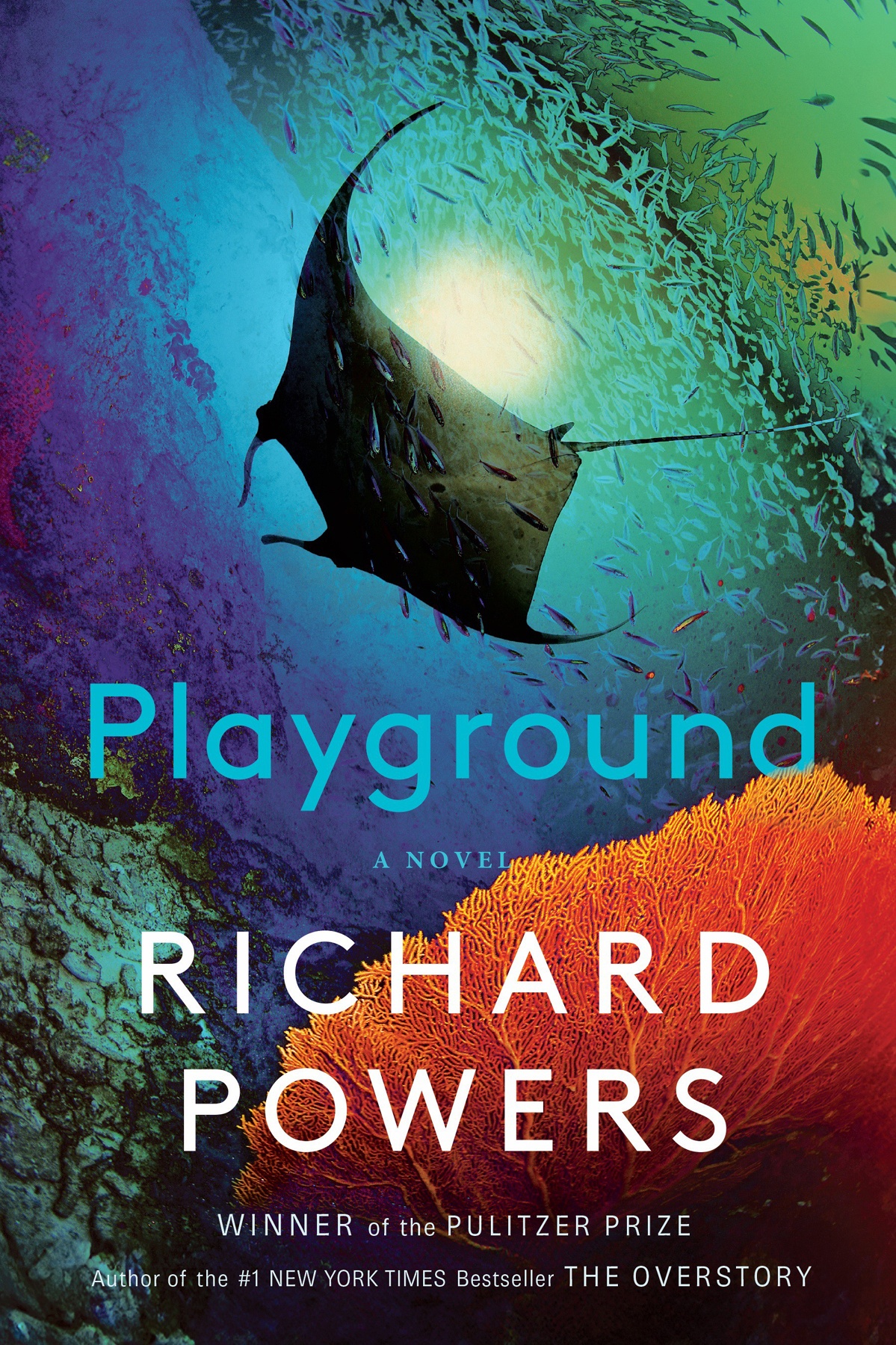 Playground ebook cover