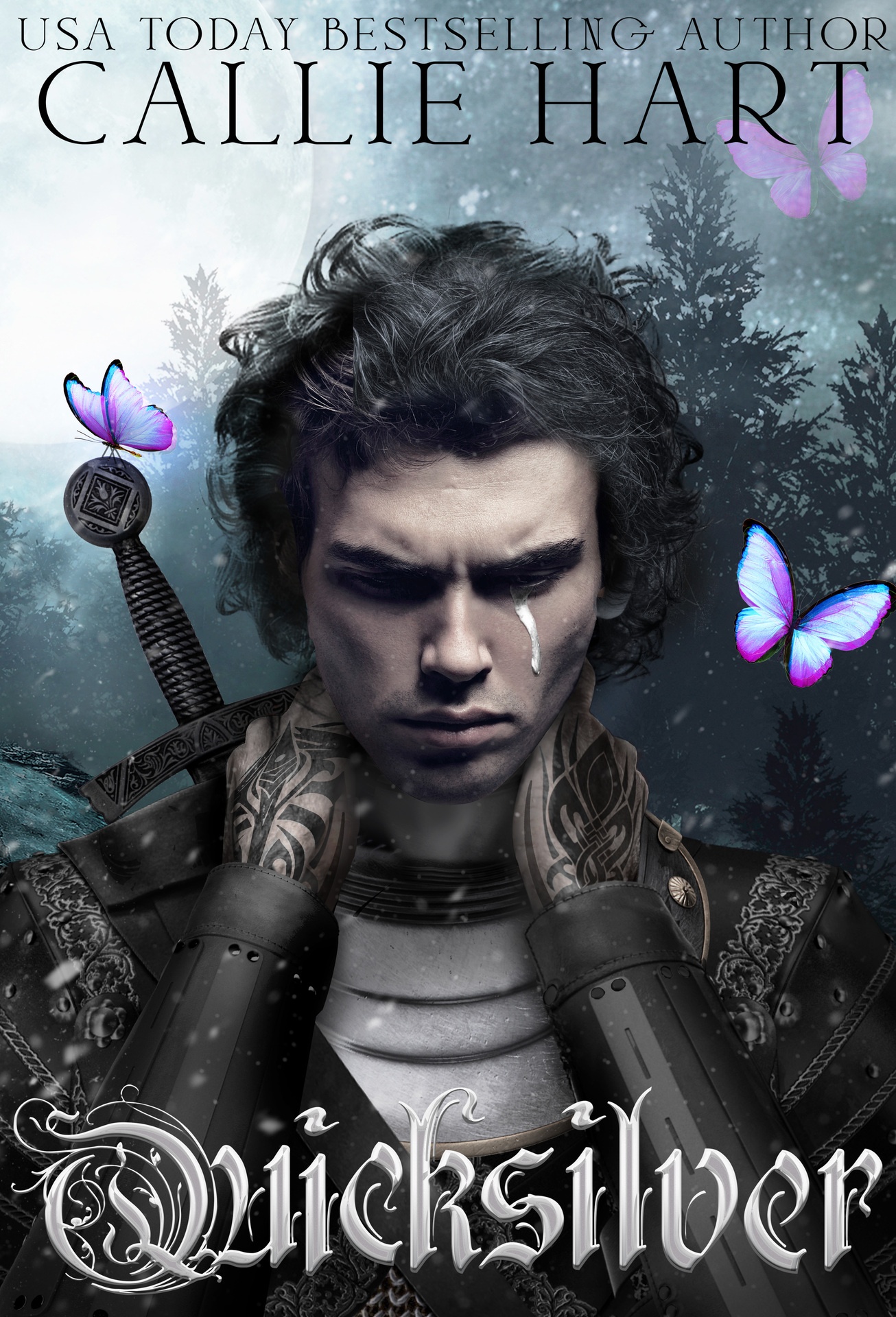 Quicksilver ebook cover