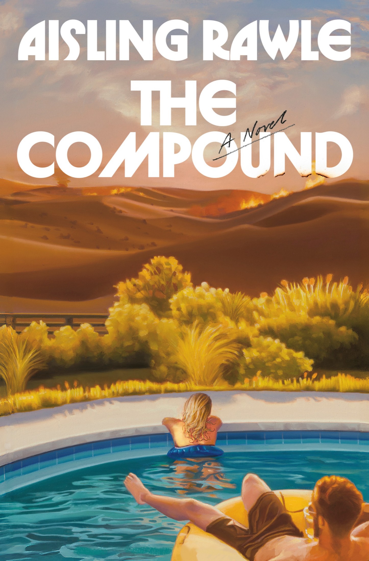 The Compound: A Novel ebook cover