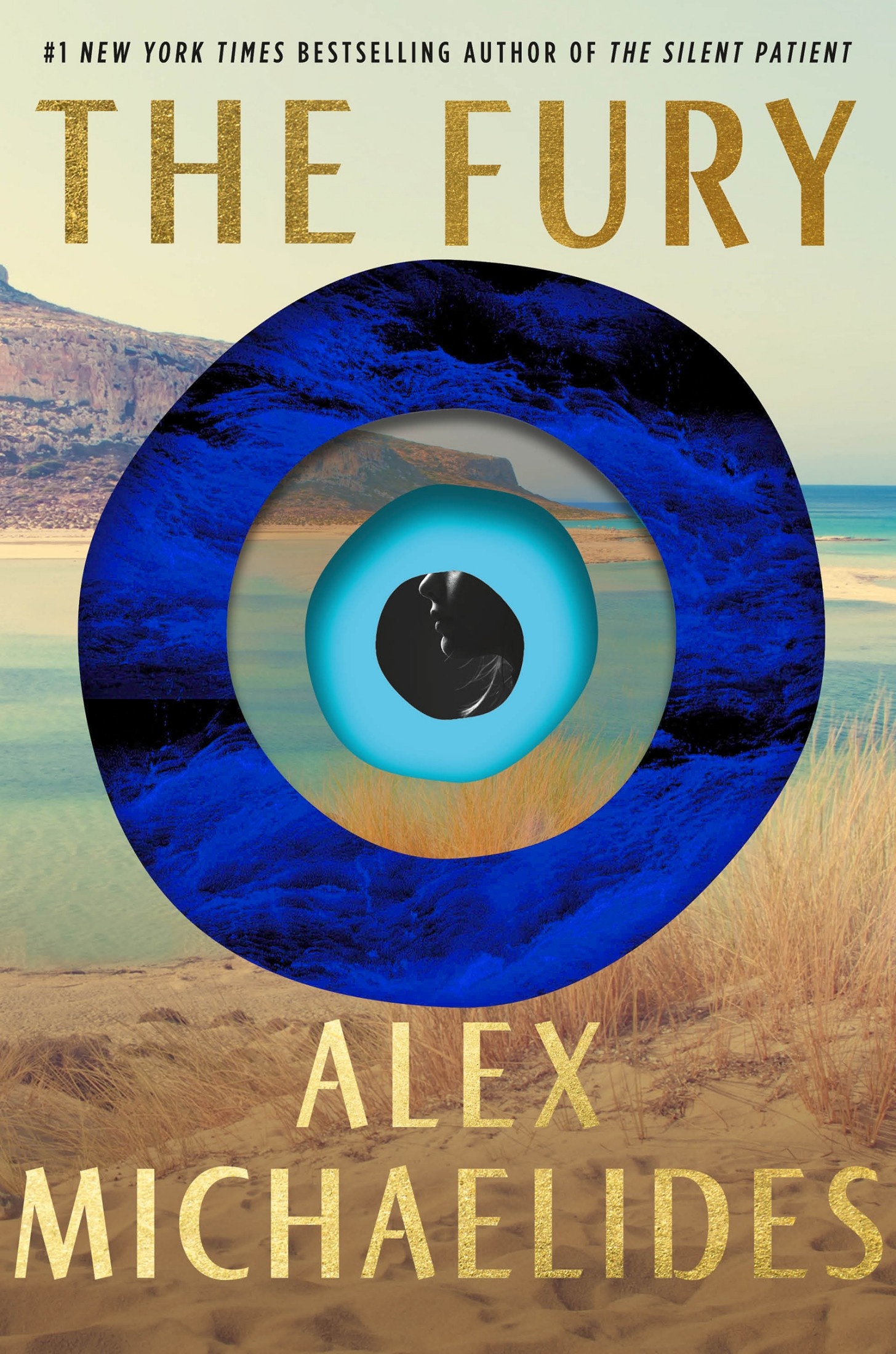 The Fury ebook cover
