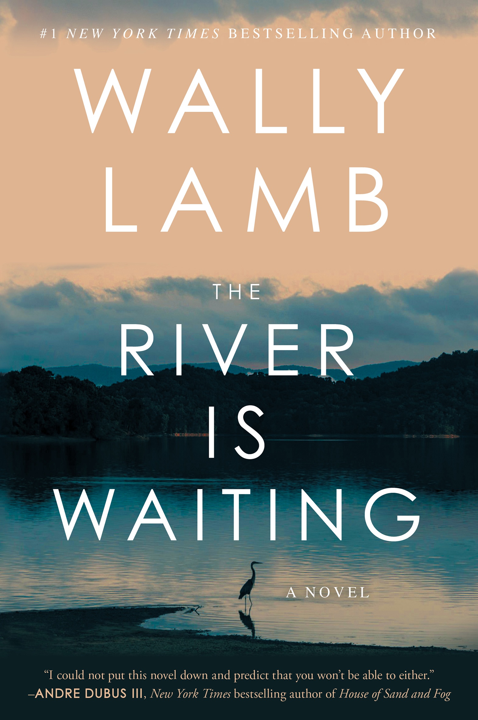 The River Is Waiting ebook cover