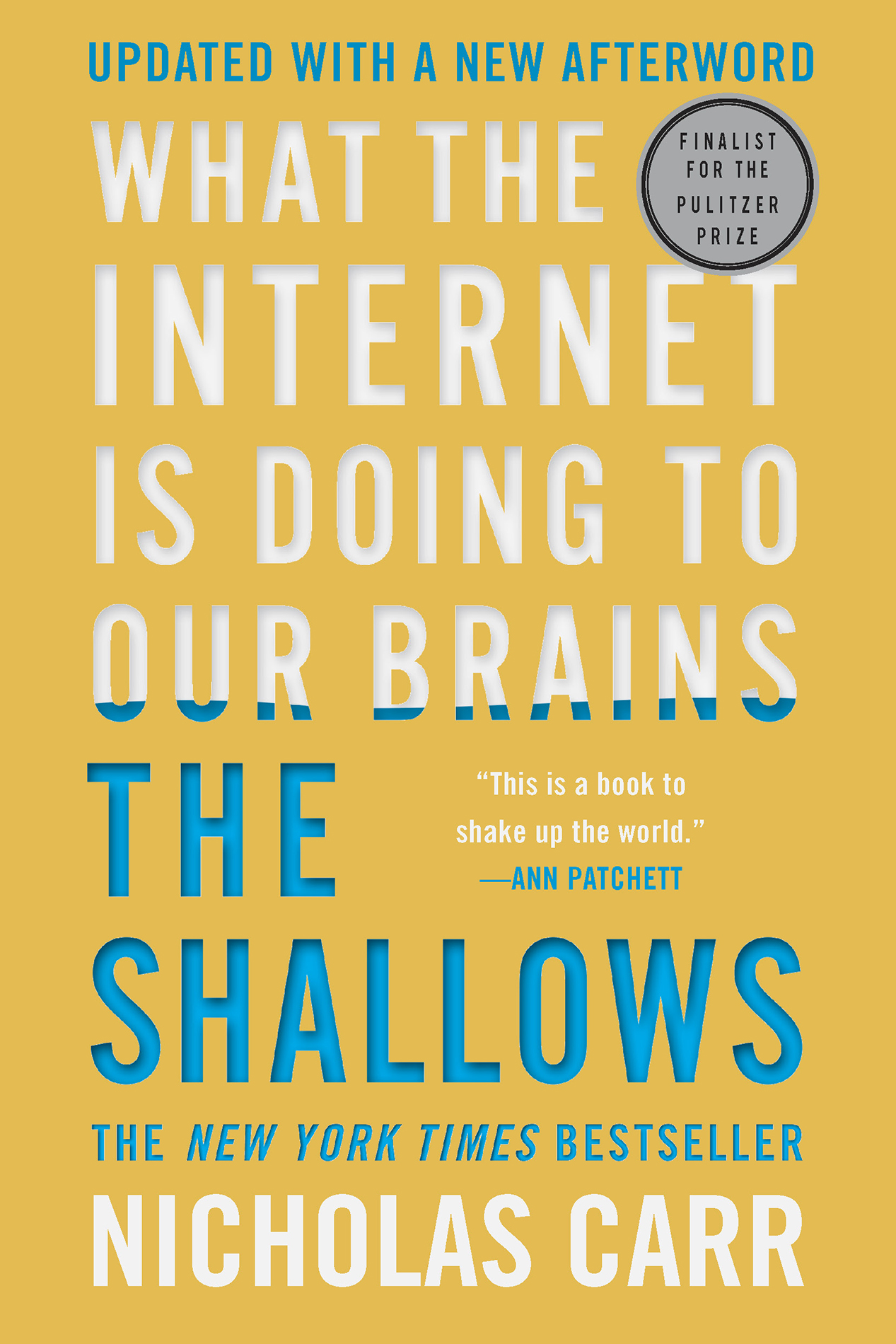 The Shallows: What the Internet Is Doing to Our Brains ebook cover