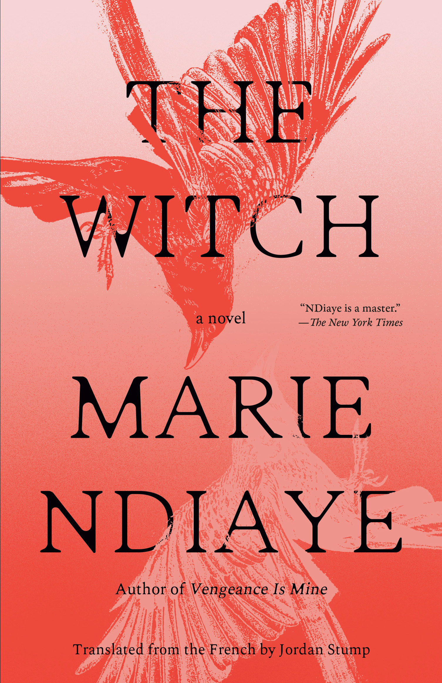 The Witch ebook cover