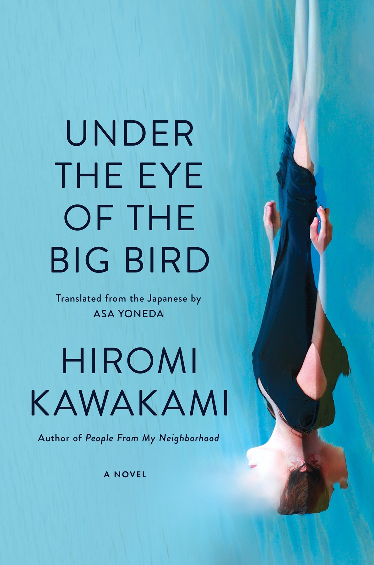 Under the Eye of the Big Bird ebook cover