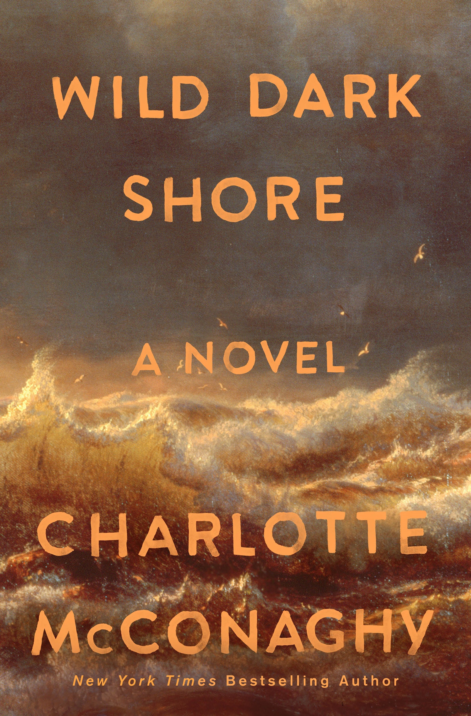 Wild Dark Shore ebook cover